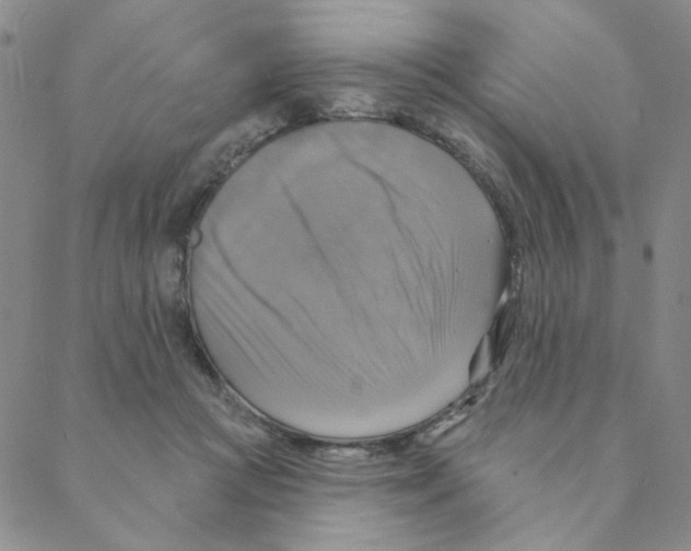 X0000088390361200706191338