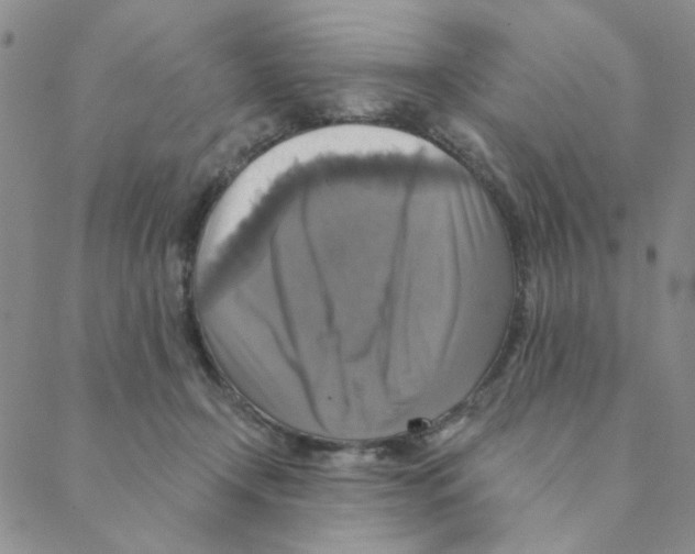 X0000088390366200706191338