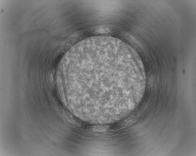X0000088390373200706191338