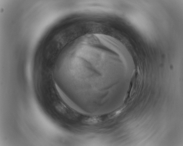 X0000088390383200706191339