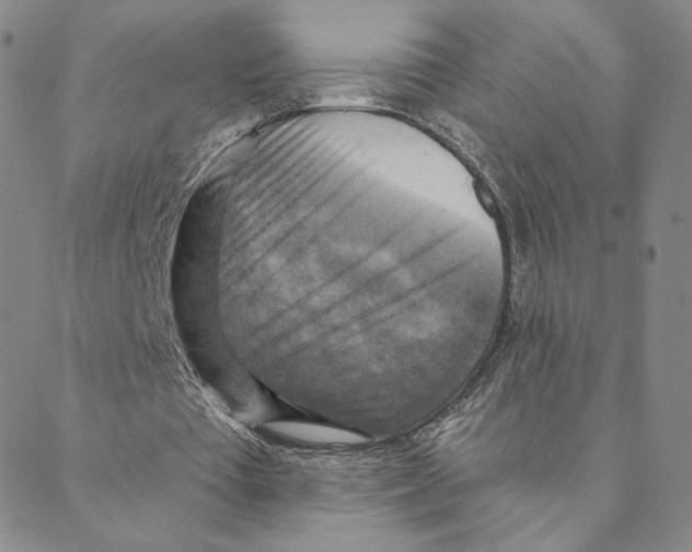 X0000088390385200706191338