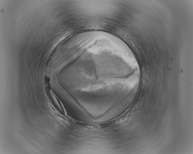 X0000088390386200706191338