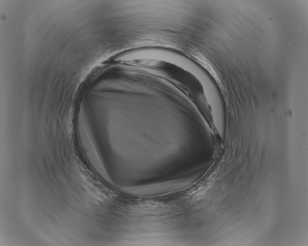 X0000088390387200706191338