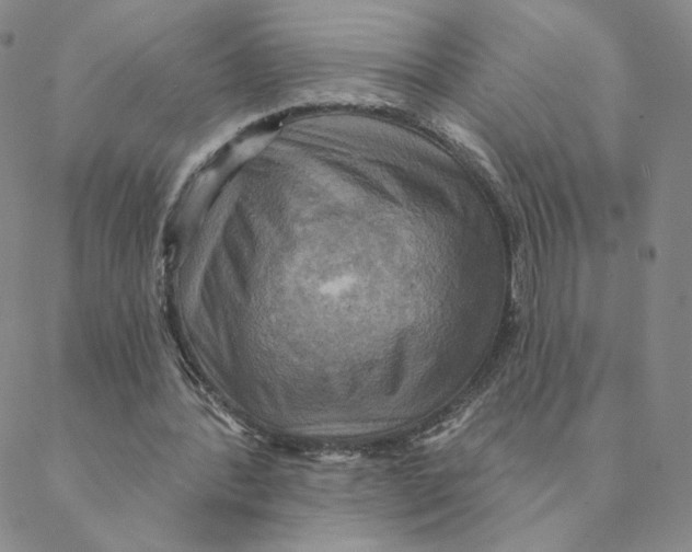 X0000088390388200706191338