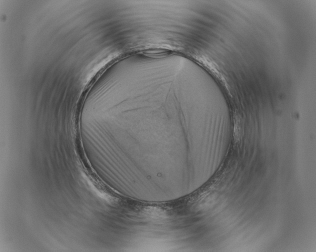 X0000088390390200706191338