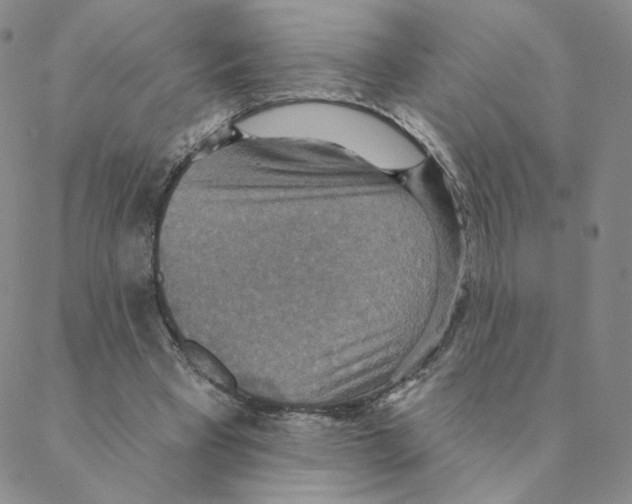 X0000088390393200706191338