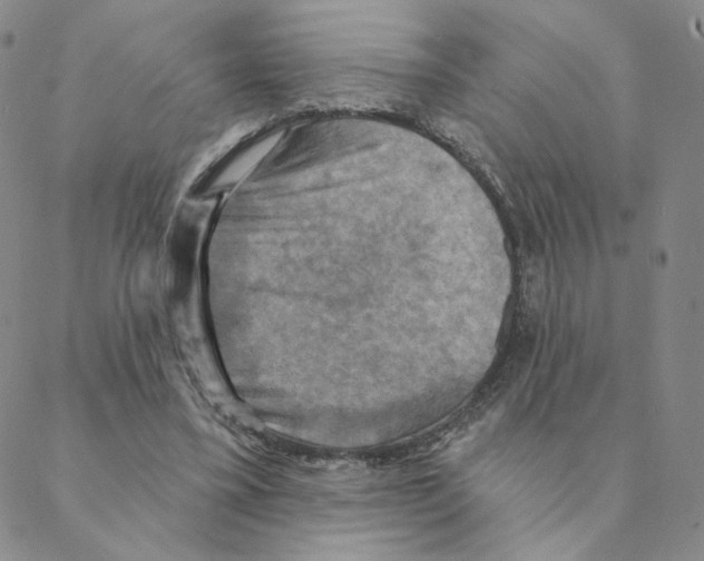 X0000088390395200706191338