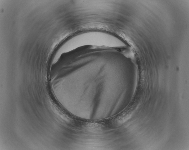 X0000088390399200706191338