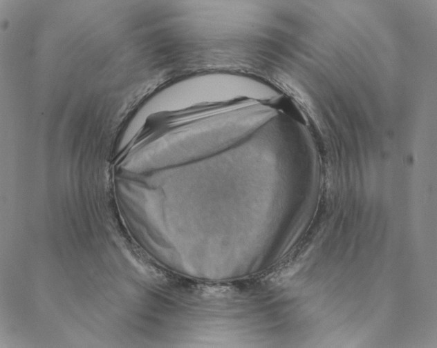 X0000088390401200706191338