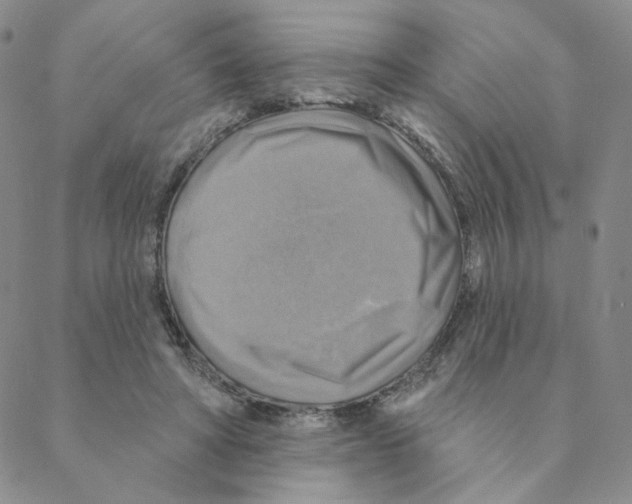 X0000088390402200706191338