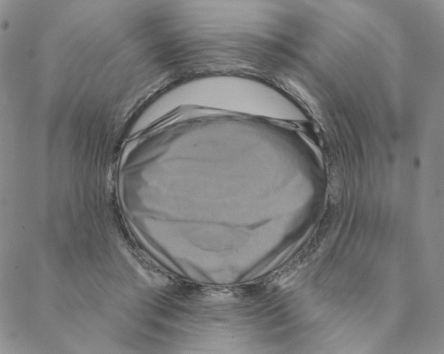 X0000088390405200706191338