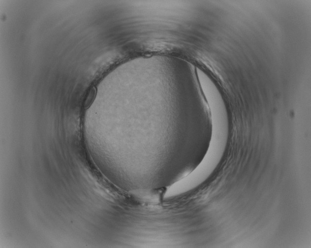 X0000088390407200706191338