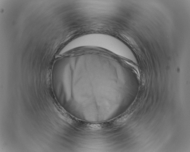 X0000088390409200706191338