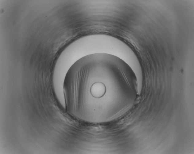 X0000088390411200706191337