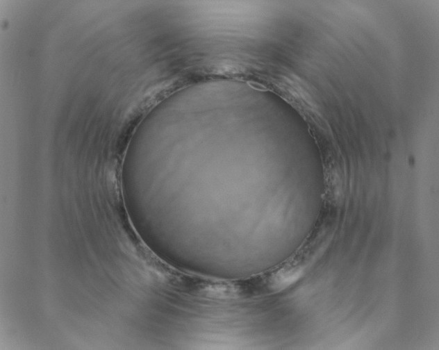 X0000088390415200706191337