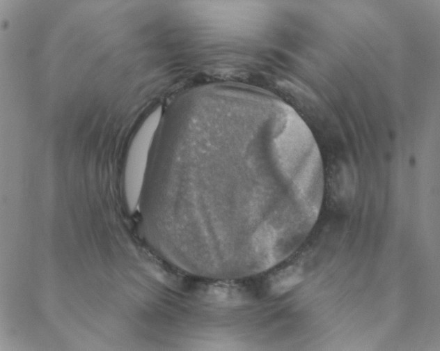 X0000088390420200706191337