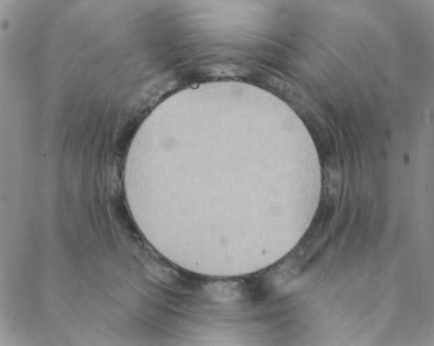 X0000088390422200706191337