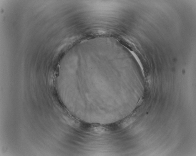 X0000088390423200706191337