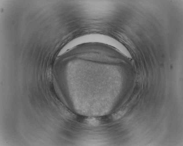 X0000088390425200706191337