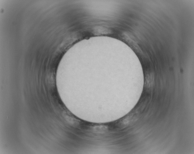 X0000088390426200706191337