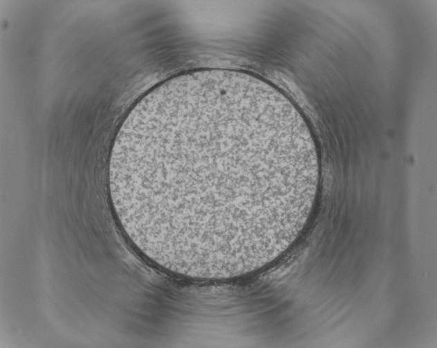 X0000088390433200706191336