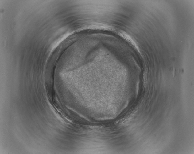 X0000088390436200706191336