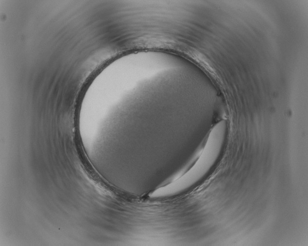 X0000088390438200706191336