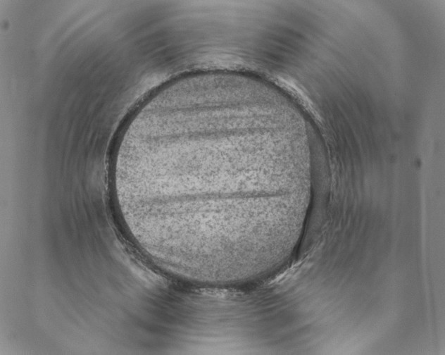 X0000088390439200706191336