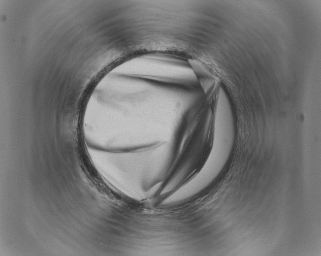 X0000088390440200706191336