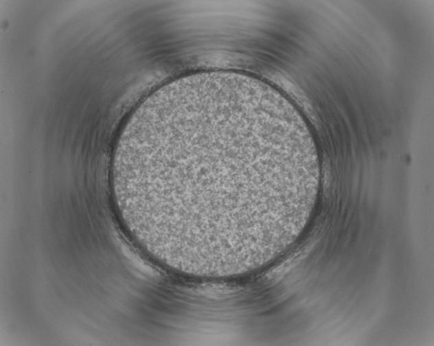 X0000088390445200706191337