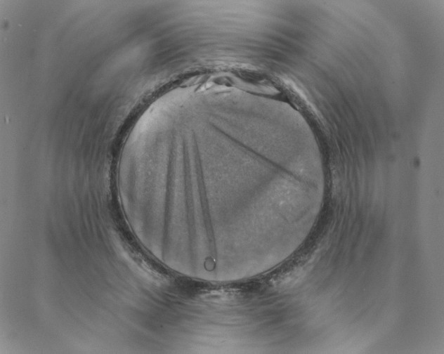 X0000088390447200706191337