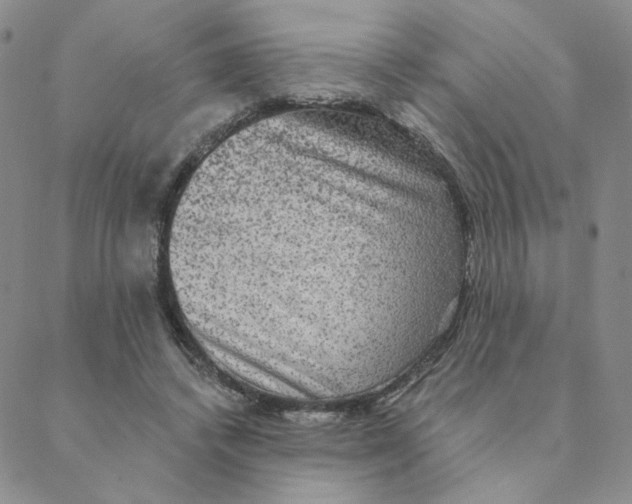 X0000088390448200706191337