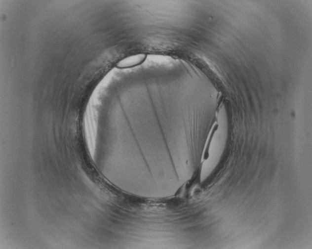 X0000088390451200706191337