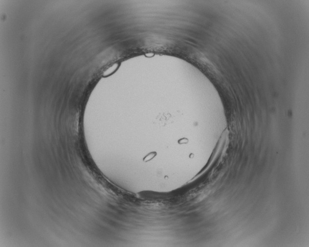 X0000088390454200706191337