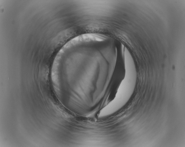 X0000088390458200706191337