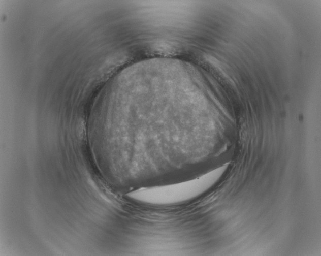 X0000088390459200706191337