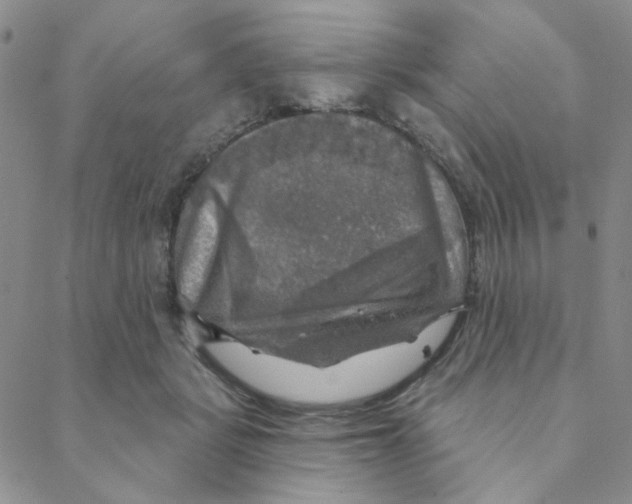 X0000088390461200706191337