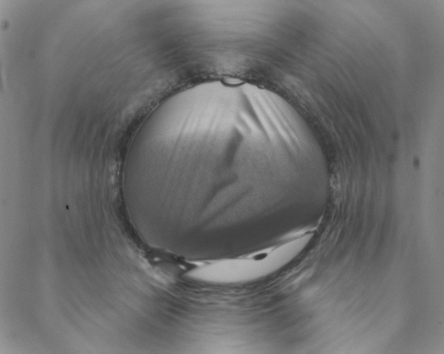 X0000088390462200706191337