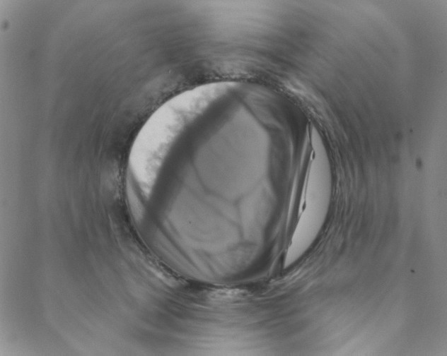 X0000088390465200706191337
