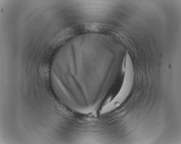 X0000088390466200706191337