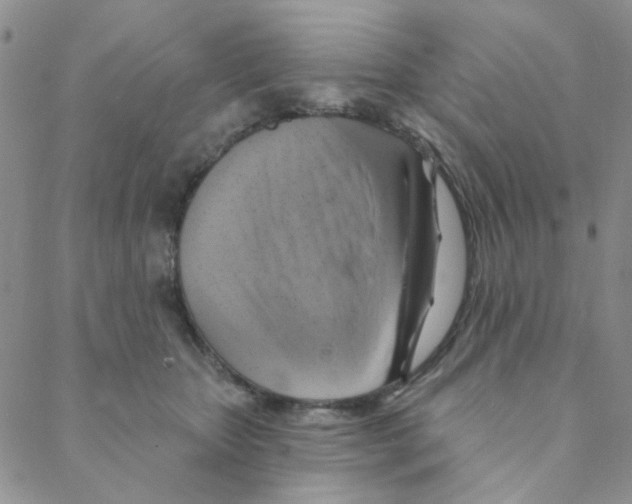 X0000088390467200706191337
