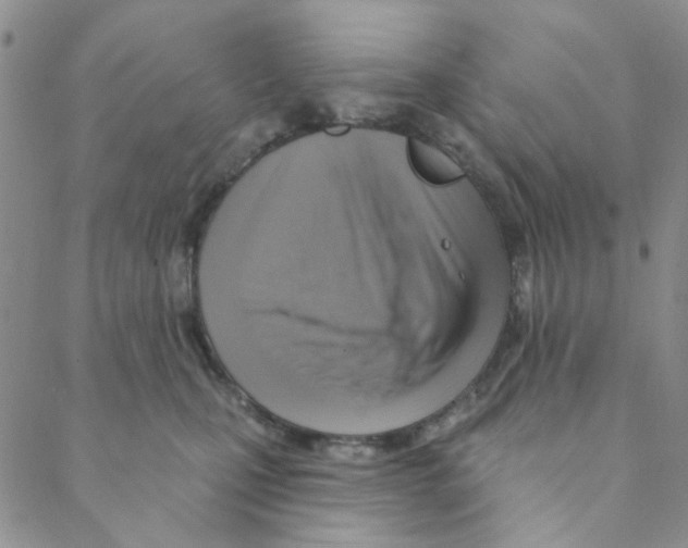 X0000088390471200706191337
