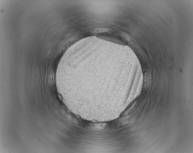 X0000088390474200706191337