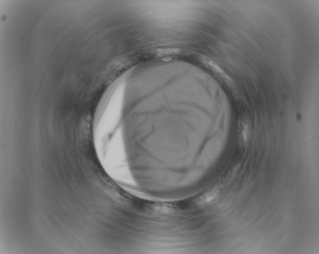 X0000088390475200706191337