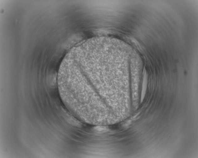 X0000088390477200706191337