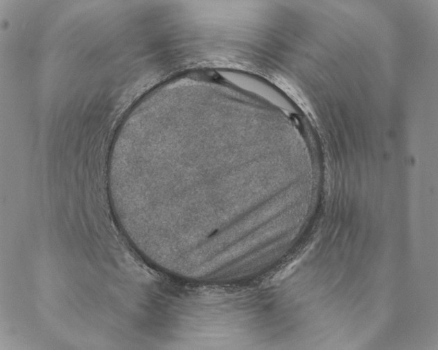 X0000088390481200706191336