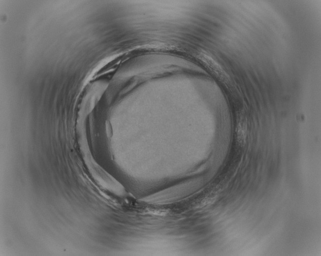 X0000088390484200706191336