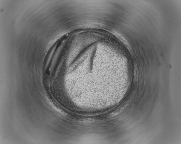 X0000088390485200706191336