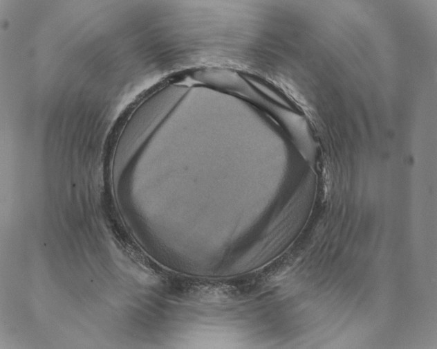 X0000088390488200706191336