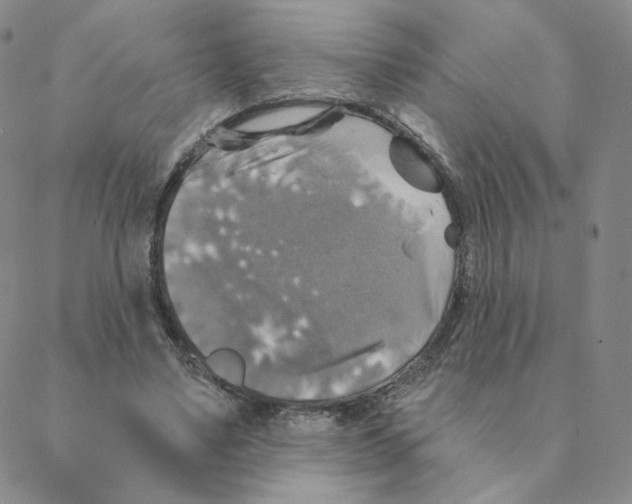 X0000088390491200706191336